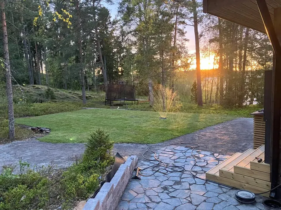 Valmis piha ja istutukset ilta-auringossa